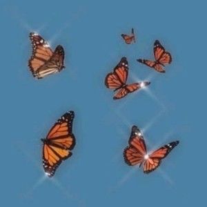 Meet your Posher, Maya